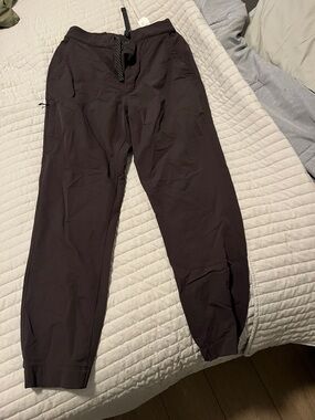 Patagonia Skyline Travelers Jogger
